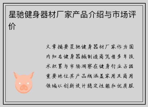 星驰健身器材厂家产品介绍与市场评价